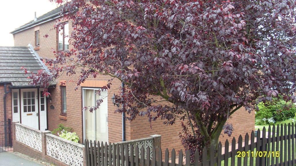 Briardale Bed & Breakfast Lazonby Exterior photo